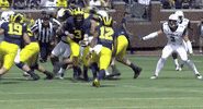 College Football GIF by Michigan Athletics