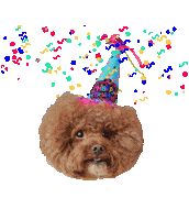 Happy Birthday Smile Sticker