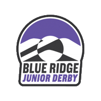 Roller Derby Skate Sticker by Blue Ridge Roller Derby