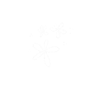 madelinekaraglanis flower aesthetic spring flowerpower Sticker