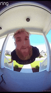 Jake Paul Ai GIF