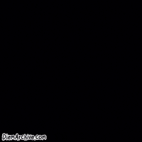 New York Basketball GIF