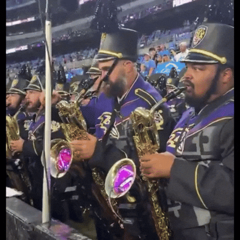 Baltimore Ravens Nfl GIF by Respective