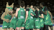 Equipo GIF by Araski