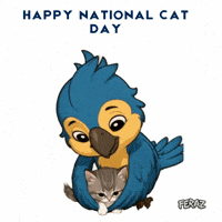 National Cat Day GIF by Feraz NFT
