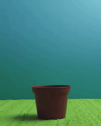 GIF by cintascotch