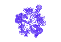 Domaniix Sticker