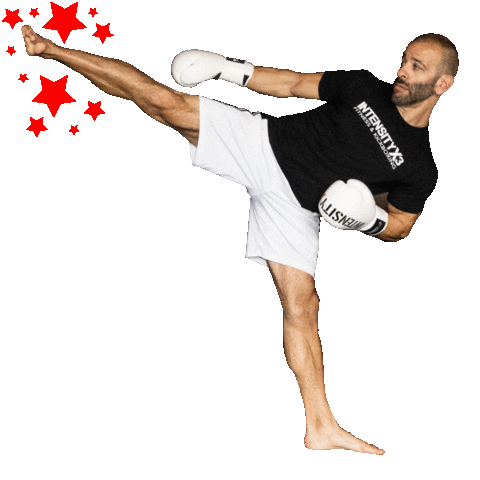 IntensityX3 fight knockout mma kick Sticker