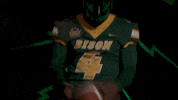 Johnson Bison GIF by NDSU Athletics