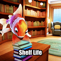 Home Diy GIF by TheConfishius