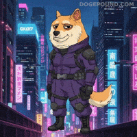 Shiba Inu Deal With It GIF by Doge Pound