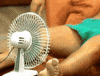 TV gif. Closeup on an electric fan aimed between a man's legs zooms out to reveal Rob Reiner as Michael Stivic in All in the Family, shirtless and wilted into the couch, trying to beat the heat by blowing air up his short shorts. 