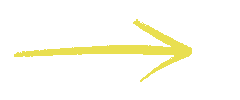 Action Awareness Sticker by State of Youth