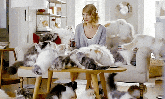 Taylor Swift Cats GIF