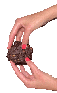 Peanut Butter Chocolate Sticker by Levain Bakery