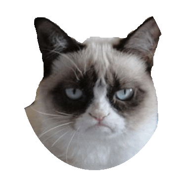 mad yolo STICKER by imoji