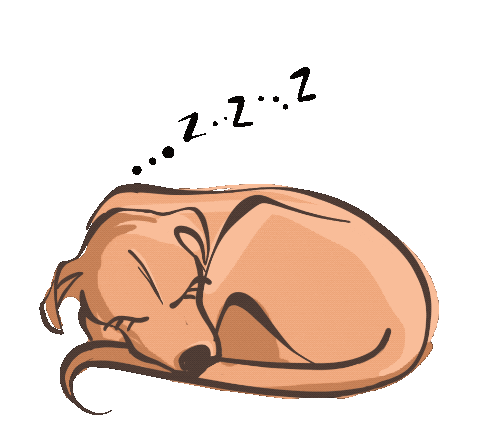 theprettymutt giphyupload dog puppy sleepy Sticker