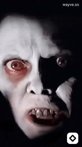 Mood Feels GIF by Darwin