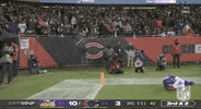 Minnesota Vikings Football GIF by NFL