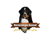 Berner Sticker by Bernersieger Kennel