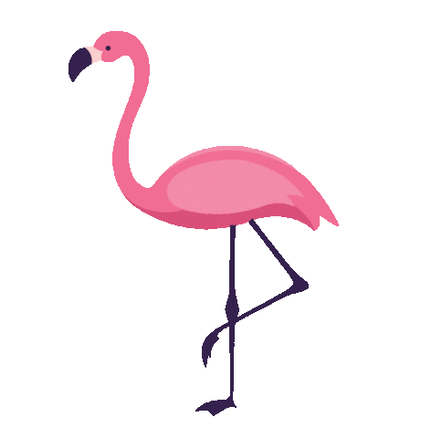 pink flamingo blogger Sticker by IGP