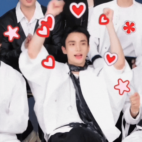 Stray Kids Hj GIF