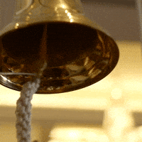 AmericanPublicUniversity graduation 2023 ring graduate GIF