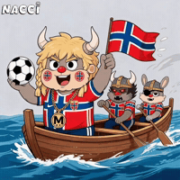 Fifa World Cup Football GIF