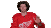 Red Wings Sport Sticker by Detroit Red Wings