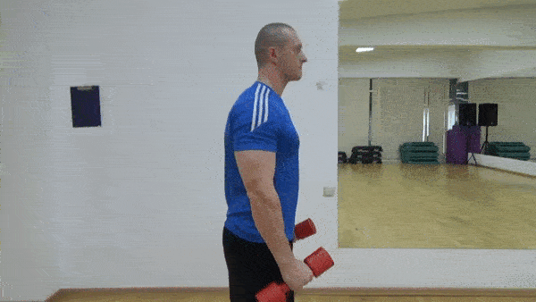 bodybuilding-and-fitness giphyupload molot molotki GIF