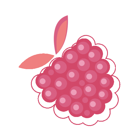 Malinca giphyupload raspberry malina malinca Sticker