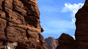 Master Chief Falcon GIF by Halo