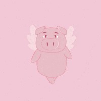 Flying Pig Dance GIF by PositivelyPigasus