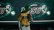 Ndsu Baseball GIF by NDSU Athletics