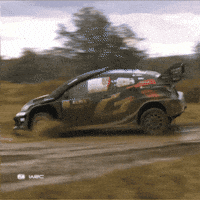 Skills Driving GIF by FIA World Rally Championship