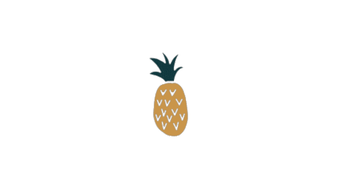 pineapple mandarine Sticker by GifAccount