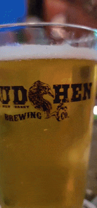 Happy Party GIF by No Cheese Records