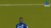 Premier League Celebration GIF by MolaTV