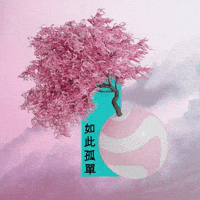 • V U L N E R A B L E •