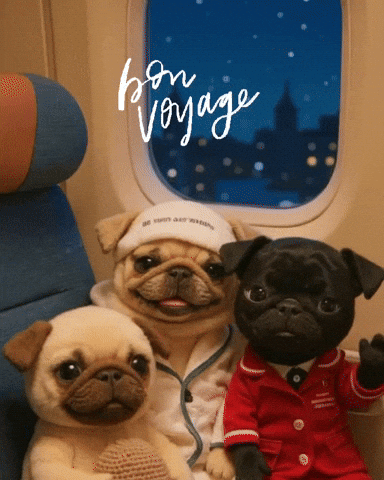 Bye Bye Travel GIF