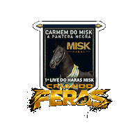 Mangalarga Marchador Sticker by Haras Misk
