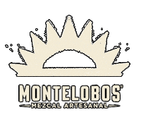 Mexico Cheers Sticker by Ancho Reyes