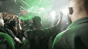 Sport GIF by UFC