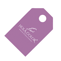 Boda Weddinginvitation Sticker by HolaColor