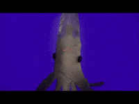 isabella rossellini GIF by SundanceTV