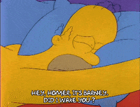 Season 2 GIF by The Simpsons