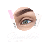 EleverCosmetics lashes elevercosmetics eleverbrow eleverenew Sticker