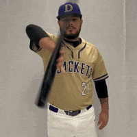 Defibsb GIF by DefianceCollegeAthletics