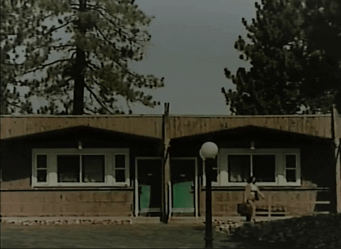 Waysides GIF by Bedouine