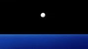 Water Ball GIF by WAHS Sidelines